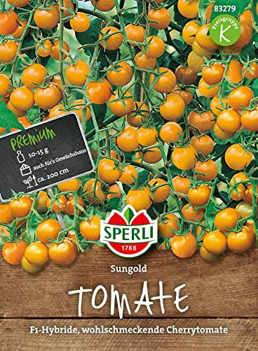 Sperli Cherry-Tomatensamen Sungold, F1 83279 - Naschsorte - intensiv-süßes Aroma - wüchsige Sorte - Inhalt für 4 Pflanzen - Samen Gemüse, Gemüsesamen