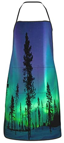 IUBBKI Herren-Damen-Schürze Wasserdichte Kochschürze Aurora Borealis Kochschürze Lustige Back-Grill-Schürze