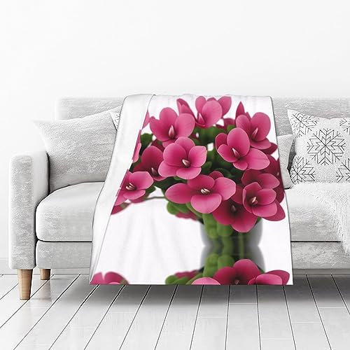 Rote Alpenveilchen bedruckte Mikrofaser-Decke, Sofa-Überwurf, Flanell, flauschig, weich, warm, Überwurf, Decken für Bett, Couch, Reisen, 127 x 101,6 cm