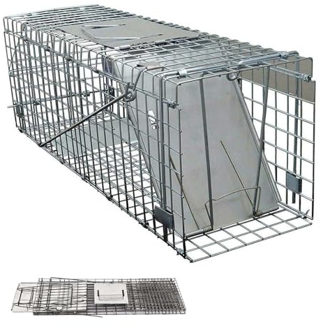 Ratte Tierfalle Humane Live-Maus Käfig Eichhörnchen Fallen, 61 x 19 x 21cm, für Indoor Outdoor-Jagd Fangen Ratten, Wildtiere Schädlinge, Nagetiere, Eichhörnchen, einfach einzurichten