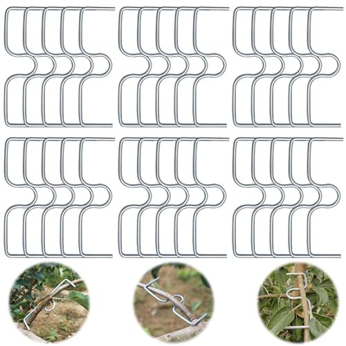 Raxfekro Astspreizer Obstbaum, Astzieher Halter für Obstzweige, Astklammern Metall für Gartenzweige, Zum Spreizen und Ebnen von Obstbaumzweigen (30pcs 8cm)