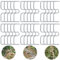 Raxfekro Astspreizer Obstbaum, Astzieher Halter für Obstzweige, Astklammern Metall für Gartenzweige, Zum Spreizen und Ebnen von Obstbaumzweigen (30pcs 8cm)