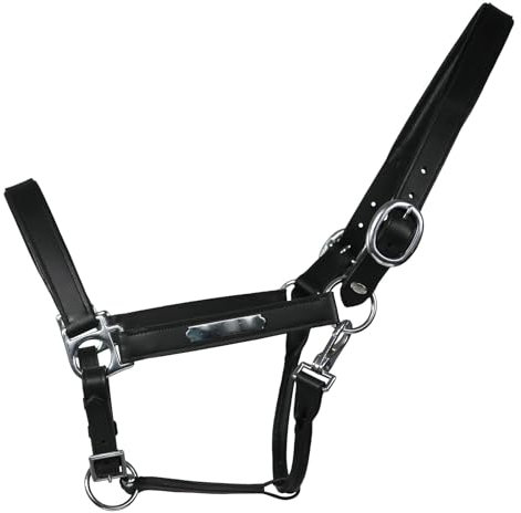 EQuest Lederhalfter Inscribe für Pferde, unterlegt - schwarz, S - Pony