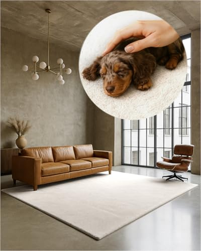 TEXMAXX Weicher Kurzflor Teppich Wohnzimmer mit rutschhemmender Rückseite (160 x 200 cm) - Modern für Flur, Esszimmer und als Schlafzimmer Teppich in Cremeweiß - Waschbar bis 30 Grad