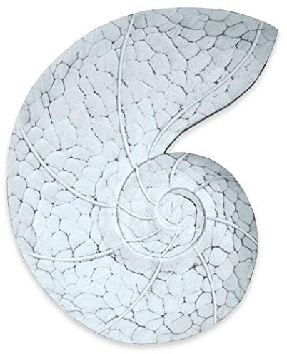 T.I. Design Strand-Wanddekoration, handgeschnitzt, Nautilus-Muschel, Weiß