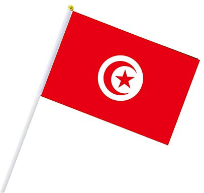 Rockreyoa Mini drapeaux à la main Drapeau du Monde Stick Drapeaux Main Mini Drapeau national pour défilés, compétitions sportives, fêtes internationales, drapeaux du monde Tunisie
