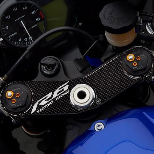 labelbike - Adesivo in Resina Gel 3D Protezione Piastra Forcella Moto compatibile con YAMAHA R6 dal 2017