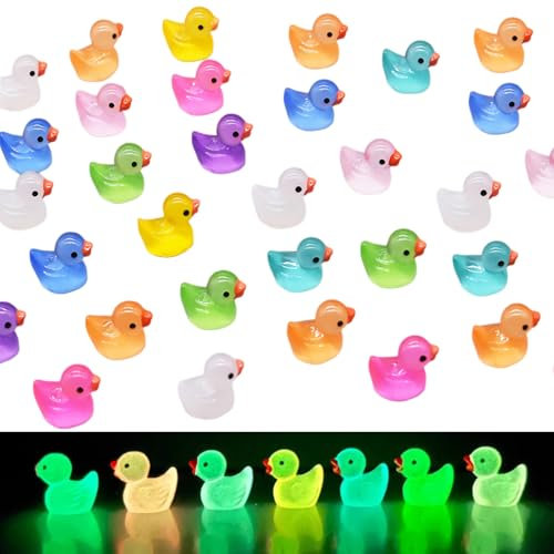 Damilages Mini Leuchtend Enten 50 Stück Kleine Bunte Enten Figuren Harz Enten Miniatur Enten Mini Duck Harz für Dekoration Aquarium Puppenhaus Miniaturgarten Handwerk Topfdekorationen DIY