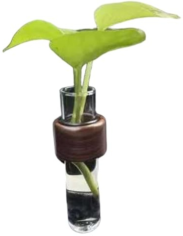 Auto-Anzuchtvase, Lüftungsclip, röhrenförmige Blumenvase aus Walnussholz für die Autolüftung, einzigartiger und kreativer DIY-freundlicher Blumentopf für die Autoinnenausstattung, Autovase, Lüftu