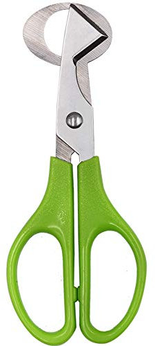 Farm & Ranch Edelstahl Wachteleier Öffner Taubeneier Schere Ei Skimmer Eierschalenschneider