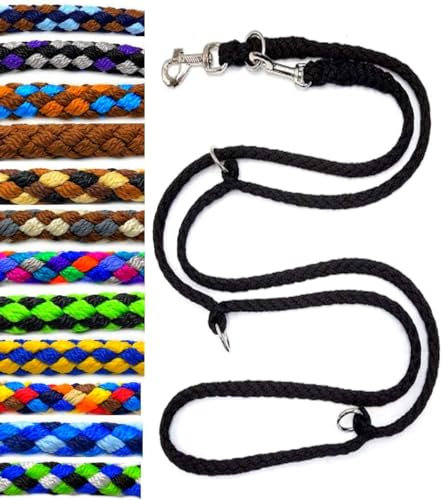 Hundeleine Doppelleine Übungsleine Führleine für mittlere Hunde bis 45 Kg über 39 Farben sehr stabil (3,50 m, Türkis)