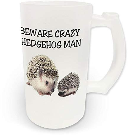 16oz Beware Crazy Hedgehog Man Novelty Frosted Glass Beer Stein