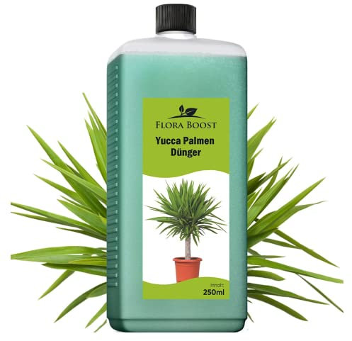 Konfitee Yucca Palmen Dünger Flora Boost 250ml I Für bis zu 50L Gießwasser I Zimmerpflanzen Dünger für Palmlilien I Flüssiger Blatt- & Wurzeldünger I 100% natürlicher Pflanzendünger