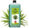 Konfitee Yucca Palmen Dünger Flora Boost 250ml I Für bis zu 50L Gießwasser I Zimmerpflanzen Dünger für Palmlilien I Flüssiger Blatt- & Wurzeldünger I 100% natürlicher Pflanzendünger