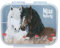 Depesche 13398 Miss Melody Dusty Rose Azul Claro, con Motivo de Caballo y Amapolas, Fiambrera con 3 Compartimentos y Tapa Transparente, Multicolor, One Size