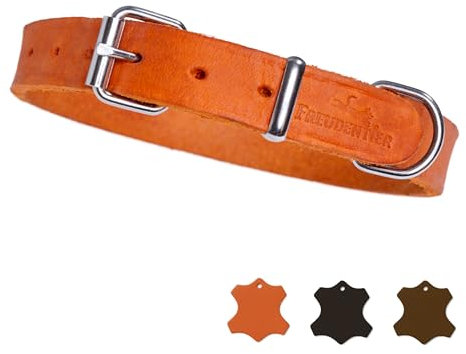 FREUDENTIER Hundehalsband Leder - Alsterufer Kollektion - Lederhalsband für kleine, mittelgroße & große Hunde aus zertifiziertem Fettleder - Handgefertigt in Europa (Sunset Orange, 43,5-55cm)