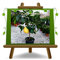 EURO PLANTS VIVAI Agrumi Bergamotto – Citrus Bergamia – Pianta da Frutto su Vaso ø 22 cm- Altezza 70~80 cm