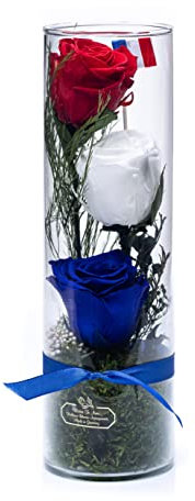 Rosen-Te-Amo, Geschenke für sie || konservierte ewige Rosen in Porzellan |duftend |handgefertigt mit französischen Flaggenfarben || Infinity Rosen: Deko & Geschenke für Frauen