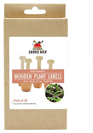 Seedzbox - Etichette in legno per piante da esterno e da interno, 20 etichette per piante a forma di T in betulla di alta qualità, con marcatura con punta a sfera o pennarello, meno sbavature