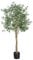 YOLEO 6FT Artificial Olive Tree Faux Silk Olive Plant with Lifelike Leaves Fake Tree for Home Office Indoor Decor (Style 2)