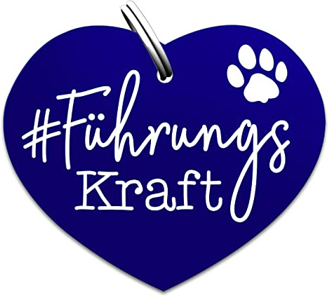 Soulhorse Souldogs Hundemarke mit Gravur - Schöner Anhänger für Hundehalsband Geschirre, Halsbänder & Leinen für Hunde Dog Tag mit Gravur Hundezubehör (Führungskraft, Blau)
