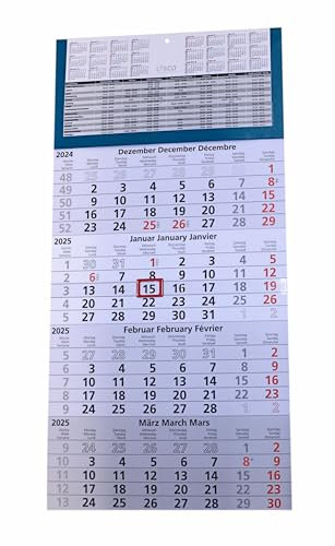 4 Monats Wandkalender 2025 mit Datumschieber in Rot, inkl. Ferienübersichten und Jahresüberblick 2025 und 2026, Viermonatskalender werbefrei, 4 Monatskalender