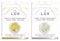 Aloxia Lox SecureLocking Earring Backs Double Pack 4 Pairs in Total (2 Pair of Gold and 2 Pairs of Silver in Pack)