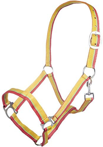 HKM Budapest Halfter gelb/rot/apfelgrün Pony