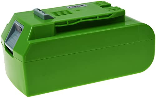 Batteria per attrezzi Greenworks G24, 24 V, agli ioni di litio
