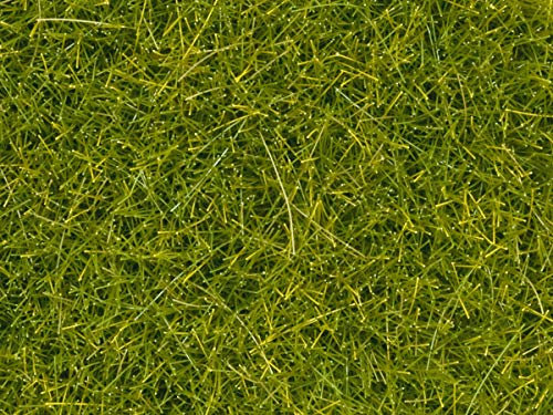 Noch Erba diffusa, Colore verde, 4007246083633