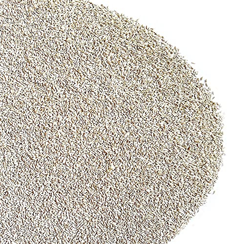 GRAMIGNA (CYNODON DACTYLON) AVEC RHIZO | Gazon | Le Comptadin (1 Kg)