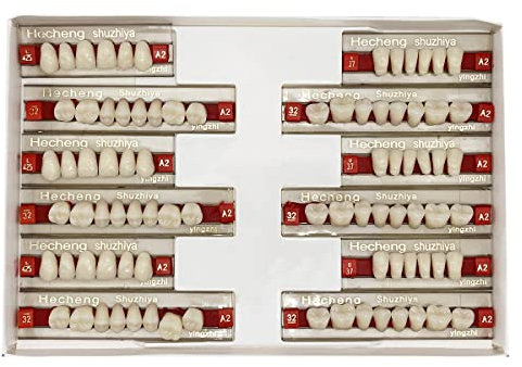 84 Stück falsche Zähne Zahnersatz Komplette Acrylharz Zahnersatz Zähne, 3 Sets ganze Zähne Synthetische Polymer Zahnprothesenzahn, 23 Farbtöne A2 oben + untere Zahnmaterialien als Ersatz