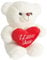 THE TWIDDLERS Teddybära I Love You, 25cm – süßes Geschenk für Sie und Ihn, Plüschtier-Geburtstagsgeschenk für Freundin, Freund, perfekt für den Valentinstag