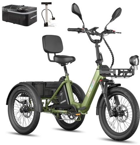 Fafrees F20 Mate E Bike Dreirad für Erwachsene 48V Zulassung [ Offiziell ] Herren E Bike Damen, Elektrofahrrad 3 Rädern 65N.m, Elektro Dreirad 20 Zoll, Ebike Lastenfahrrad IPX5, Fahrrad Fatbike 180kg