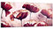 Wandbilder Dekoration Wohnzimmer Mohn Blume Wiese Panorama Bilder auf Glas 120x50cm Glasbild Schlafzimmer Küche Wand Kunstdruck Art Groß Wanddeko Bild im Glas Modern Wall Decor GAB120x50-3934