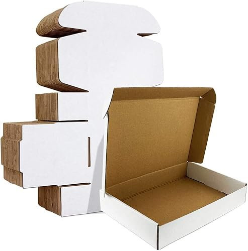 HORLIMER 20 Stück Versandkarton Klein Karton Box, 305x229x76mm Verpackungskartons mit Deckel für Warensendung, Geschenkbox, Faltkarton, Postkarton(Weiß)