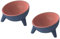 Raised Cat Bowls, Elevated Cat Feeder - 2PCS Red, 15° Inclined Angle for Kittens & Adults