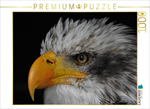 CALVENDO Puzzle Seeadler | 1000 Teile Lege-Größe 64 x 48 cm Foto-Puzzle für glückliche Stunden
