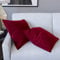 Set di 2 Federe Per Cuscini In Velluto Morbido e Resistente Copricuscini Per Divano Poltrona Soggiorno Arredo Arredamento Casa Design Moderno Elegante Cerniera Invisibile (45 x 45 cm, Rosso Vino)