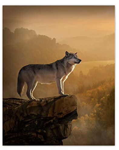 Foto Bild Poster Wandkunst Dekor 40x50cm Wolf on the mountain Nr. H7713Z_PL1Q
