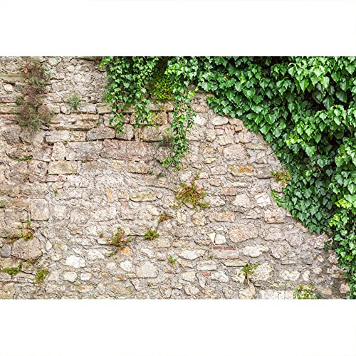 Aoihrraan 4,5x3m Rustikale Rock Ziegel Wand Hintergrund Grüne Efeu Blätter Gras Frühling Natur Fotografie Hintergrund Geburtstag Hochzeit Braut Baby Dusche Kuchen Tisch Party Dekorationen Foto