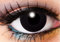 Solid Tone Black Contacts - 1 Day Contact Lens