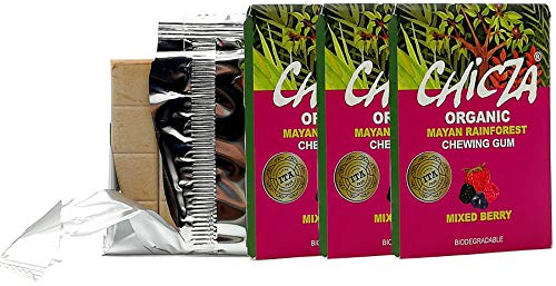 Chicza Organic Chewing-Gum rote Früchte, zertifiziert Bio und Kosher, biologisch abbaubar, Set 3 x 30 g