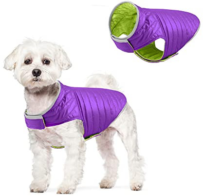 Galatée Wasserdichter Hundemantel, Wendbarer Hundemantel Mit Geschirrloch, wasserdichte Winterjacke Warme Weste Für Kleine Mittelgroße Hunde(XXL, Lila Grün)