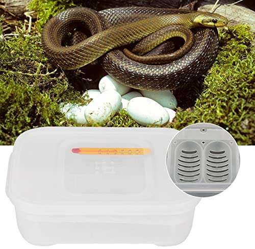 ZJchao Lagartos Serpientes Gecko 12 Rejillas Serpientes Gecko Lagartos Reptiles Bandeja para Incubadora de Huevos con Caja para Incubar Huevos Fácil de Usar, Ideal para Incubar, Geckos y Más
