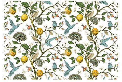 Forwall Fototapete Küche Zitrone Obst Vögel Moderne Motivtapeten Esszimmer Vlies Tapete Wandtapete UV-Beständig Montagefertig (208x146 cm - 2 Bahnen)