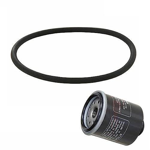 GUARNIZIONE FILTRO OLIO PER PIAGGIO LIBERTY 125-150 - 200 - SKIPPER 4T 125 - TYPHOON 125 - PIAGGIO MP3 125-250 - 300 ORIGINALE PIAGGIO