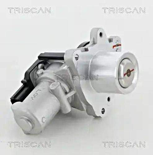 TRISCAN AGR-Ventil 881318045