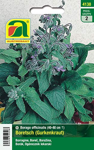 Boretsch (Gurkenkraut)