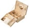 2-Layers Jewellery Box with Mirror - Display Storage Case Jewelry Holder for Earrings Ring Necklace 23009